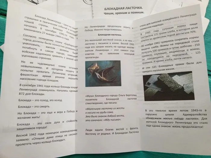 77c8d843-9df0-4e1e-94db-059738ce2167.jpg